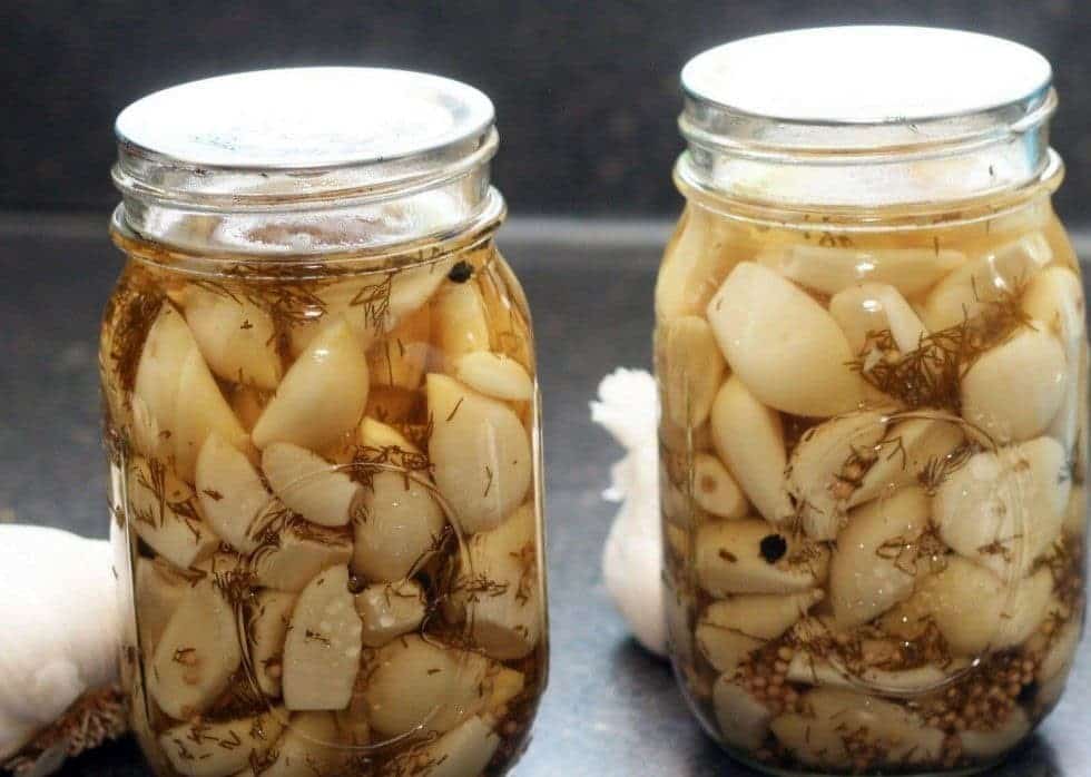 قیمت سیر شور